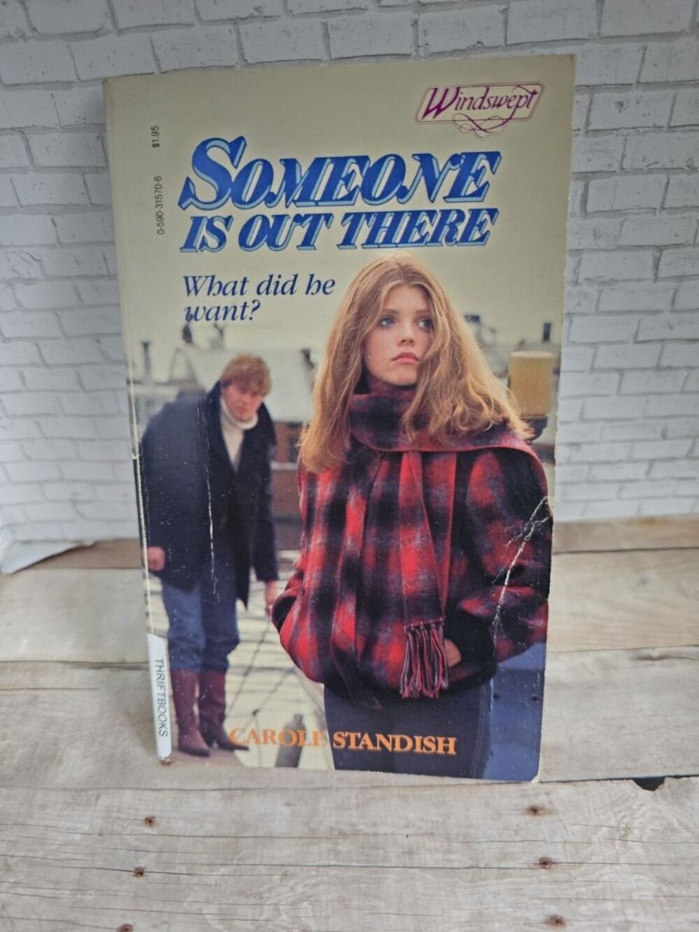 VTG 80s Teen YA Romantic Suspense Windswept Someone Is Out There Carole Standish